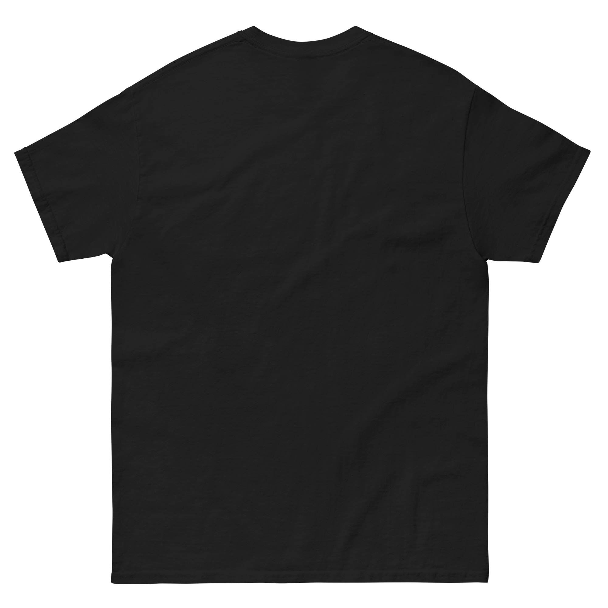 unisex-classic-tee-black-back-6a2348ef40e8a-1.jpg